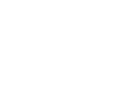 Icon Salesforce Quality Solutions