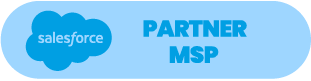 Logo Salesforce partner msp