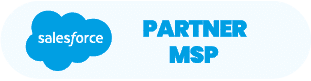 Salesforce Partner MSP